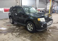 1FMCU0EG0CKB62044: 44323800