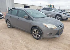 1FADP3F21DL370505: 44324972