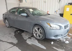 1N4AA5AP9CC841141: 44325348