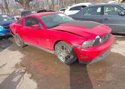 1ZVBP8CH4A5111205: 44324571