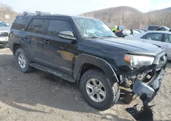 JTEBU5JR4E5170696: 44324613