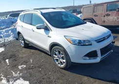 1FMCU9J98EUC15348: 44324664