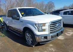 1FTEW1CP4GKF99048: 44324765