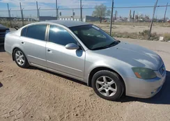 1N4AL11D65C213288: 44324796