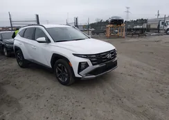 5NMJB3DEXTH613897: 44325651