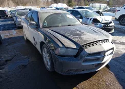 2B3CM5CT3BH548997: 44325835