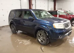 5FNYF4H41DB007269: 44327006