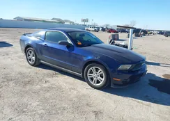 1ZVBP8AM6B5128802: 44327378