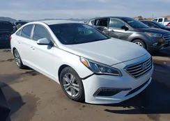 5NPE24AF4FH065343: 44328229