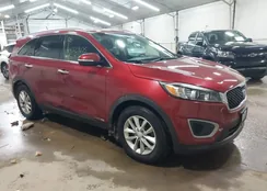 5XYPGDA56HG208157: 44329075