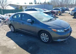 19XFB2F55CE313821: 44329105