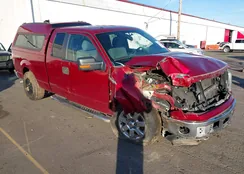 1FTEX1EM2EFC96341: 44329237