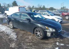 1N4AA5AP1CC859939: 44328701