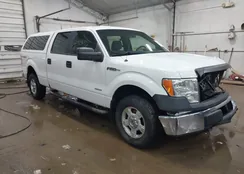 1FTFW1ET3EFC66215: 44328773