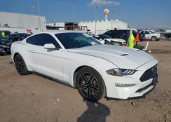 1FA6P8TH2K5117984: 44329804