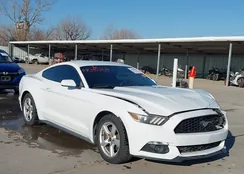 1FA6P8TH1F5417344: 44331359