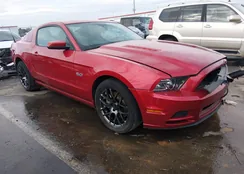 1ZVBP8CF1D5252848: 44331384