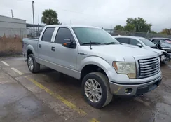 1FTFW1ET4BFC12935: 44332503