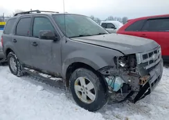 1FMCU9DG1AKD04744: 44333061