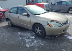 1HGCM56674A119255: 44333186