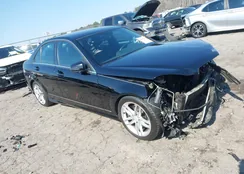 WDDGF8AB1DA797280: 44333199