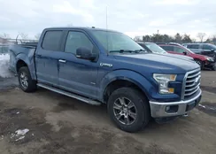 1FTEW1EG6GFB33725: 44333340