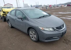 19XFB2F50DE020104: 44333473