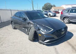 KMHL44J20NA244849: 44333540