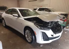 1G6DS5RK2L0155668: 44333555