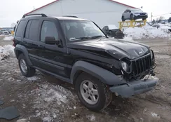 1J4GL48K95W521767: 44332783