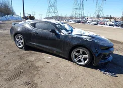 1G1FB1RS7H0104374: 44332860