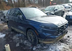 5J6RS6H54RL000237: 44334159