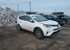 JTMRJREV2JD246183: 44334471