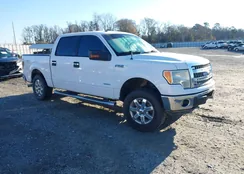 1FTFW1ET6EKF32124: 44333733