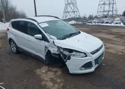 1FMCU9G94GUC83107: 44335452