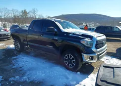 5TFUY5F10JX698254: 44335557