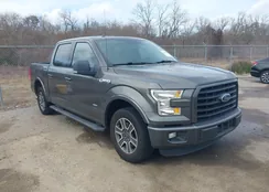 1FTEW1CP4FKE80625: 44334644