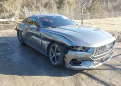 1FA6P8TH6S5129149: 44334826