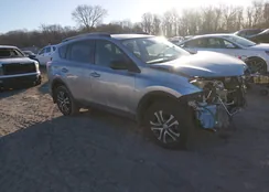 JTMBFREV1JJ217505: 44335597