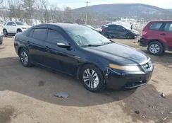 19UUA66298A042121: 44337153