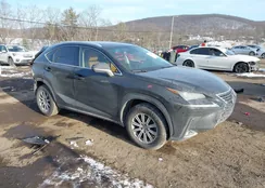 JTJYARBZ1K2117011: 44338101