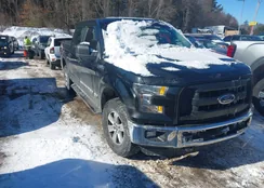 1FTEW1EF8FFC99055: 44337869