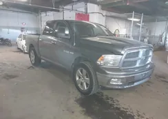 1D3HV13T99S795056: 44339314