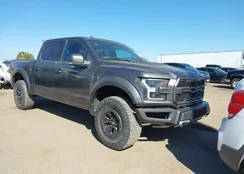 1FTFW1RG8HFA98279: 44339511