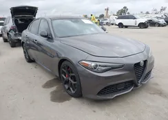 ZARFAMBN8L7638232: 44340280