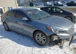 5NPE24AF9GH370788: 44339630