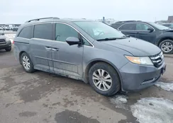 5FNRL5H65EB073605: 44341195