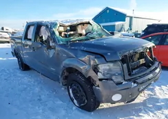 1FTFW1ET9DKF32665: 44342116