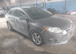 1FADP3F25DL174065: 44341803