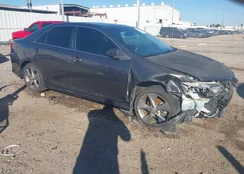 4T1BK1FKXCU017804: 44341815